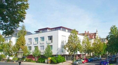 Dresden Ladenlokale, Ladenflächen 