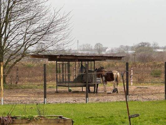 Überdachte Futterstelle.jpeg