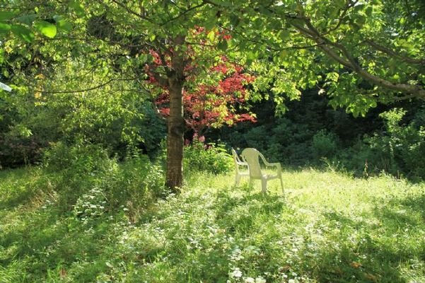 Garten hinter Rückgebäude 