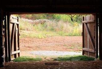 Keine Originalbilder