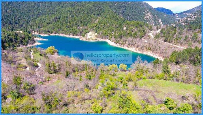 94f0cd7ab00d42e1a850d19852eb6154-original