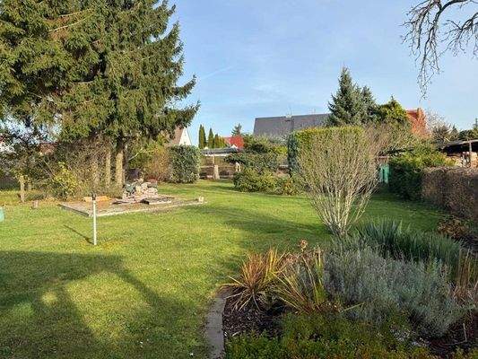 WhatsApp Image 2025-11-13 at 19.01.53