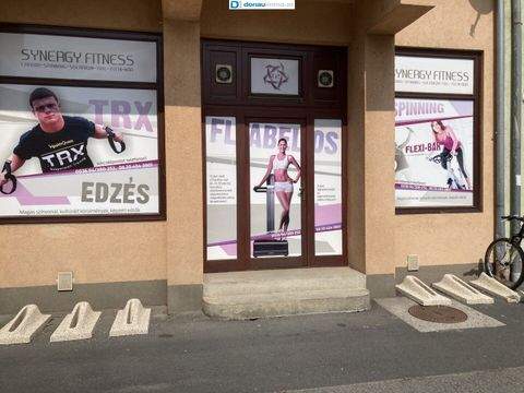 Szentgotthárd Halle, Szentgotthárd Hallenfläche