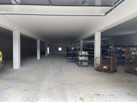 Passau Halle, Passau Hallenfläche