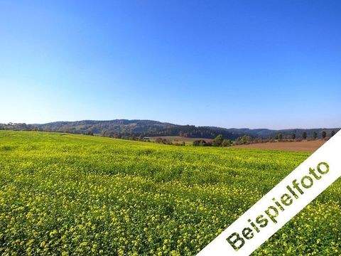 Weissach im Tal Bauernhöfe, Landwirtschaft, Weissach im Tal Forstwirtschaft