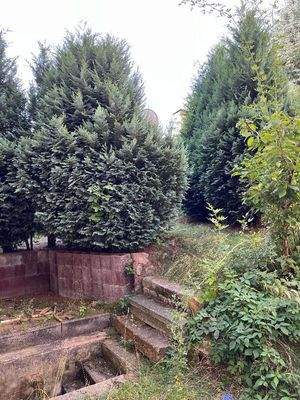 Zugang Garten von Terasse