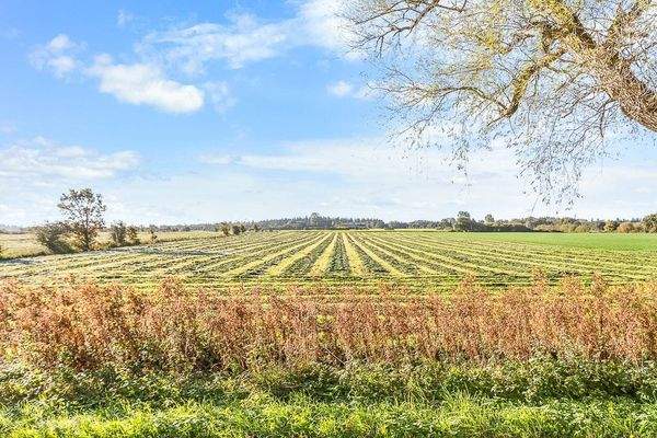 Blick über die Felder Richtung Süden