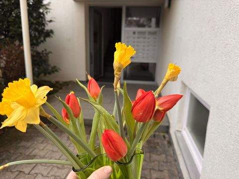 Stuttgart Wohnungen, Stuttgart Wohnung mieten