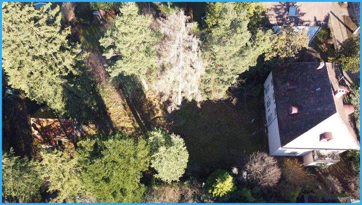 Blick übers Grundstück