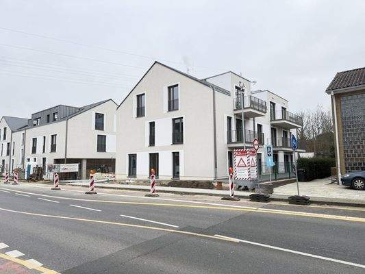 Strassenseite Rodehof