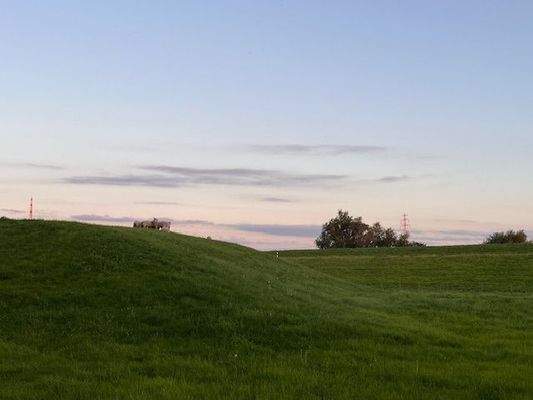 Einfach mal wirken lassen...