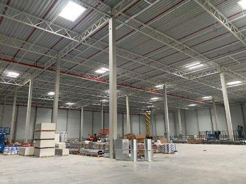 Wiesbaden Halle, Wiesbaden Hallenfläche