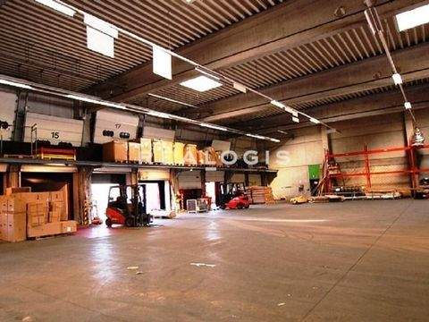 Lehrte Halle, Lehrte Hallenfläche