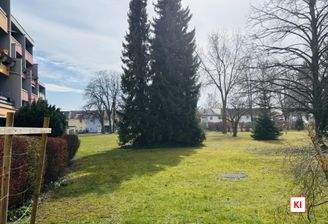 Blick ins Grüne