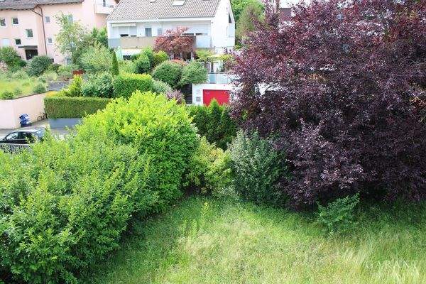 Vorgarten Teilansicht