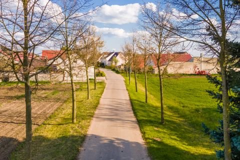 Seelow / Neulangsow Grundstücke, Seelow / Neulangsow Grundstück kaufen