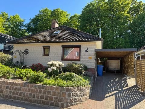 Burg (Dithmarschen) Häuser, Burg (Dithmarschen) Haus kaufen
