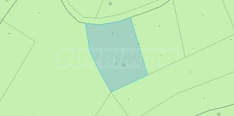 Gorna malina Bauernhöfe, Landwirtschaft, Gorna malina Forstwirtschaft