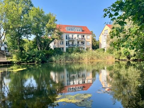 Halle (Saale) Wohnungen, Halle (Saale) Wohnung kaufen