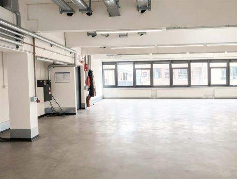 Alzenau Halle, Alzenau Hallenfläche