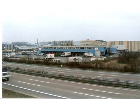 Frankfurt Ost / Maintal Halle, Frankfurt Ost / Maintal Hallenfläche