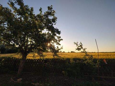 Hirschfelde / Werneuchen Ost Häuser, Hirschfelde / Werneuchen Ost Haus kaufen