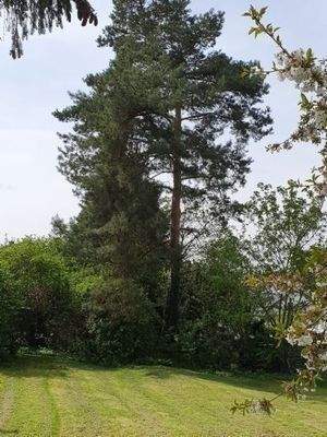 riesiges Grundstück