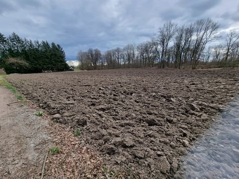 Erharting / Rohrbach Bauernhöfe, Landwirtschaft, Erharting / Rohrbach Forstwirtschaft