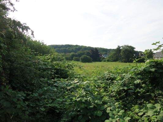 Fläche, wohin das Auge schaut