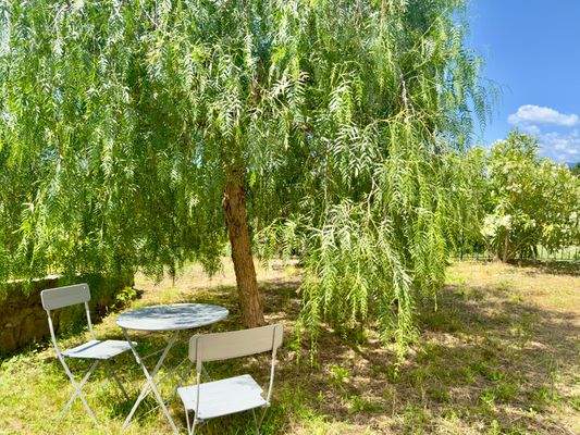 PE973_20 TERRA ITALIA IMMOBILIEN_LIGURIEN_COTTAGE_