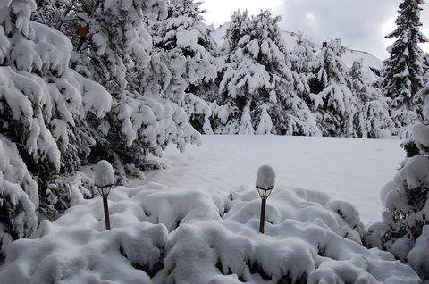 Goslar Wohnungen, Goslar Wohnung kaufen