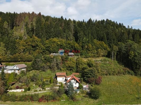 Haus mit Wald