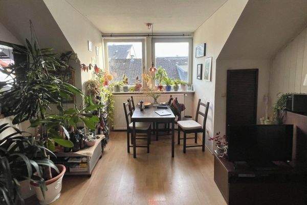 Wohn- und Essbereich