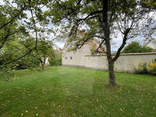 Außenansicht/Garten