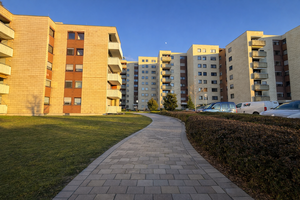 Außenanlage mit Weg