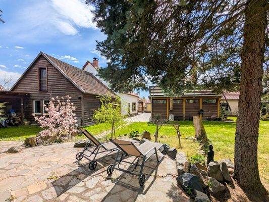 Blick aus dem Garten