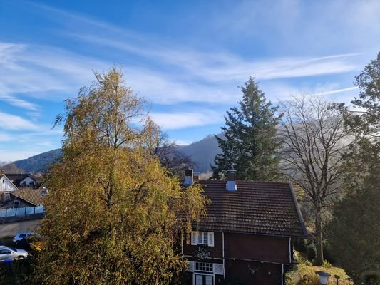 Blick vom Balkon