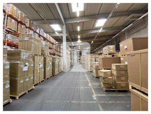 Norderstedt Halle, Norderstedt Hallenfläche