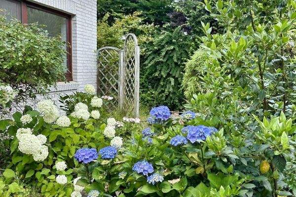 Gartenrückseite DG Wohnung