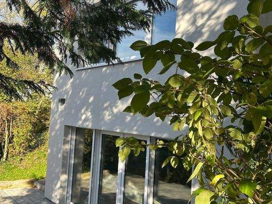 Blick vom Garten auf das Haus