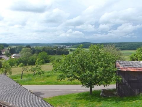 Grünberg Bauernhöfe, Landwirtschaft, Grünberg Forstwirtschaft