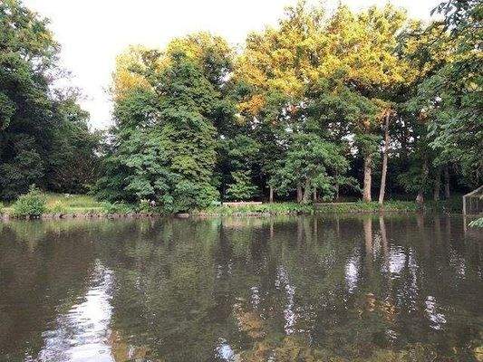 Wohnen am Röhrensee
