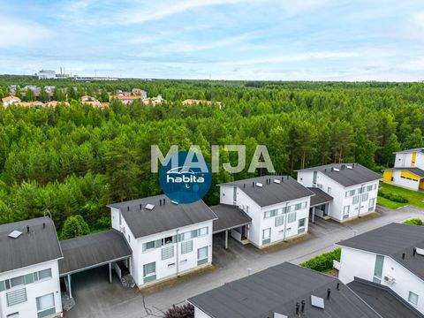 Oulu Häuser, Oulu Haus kaufen