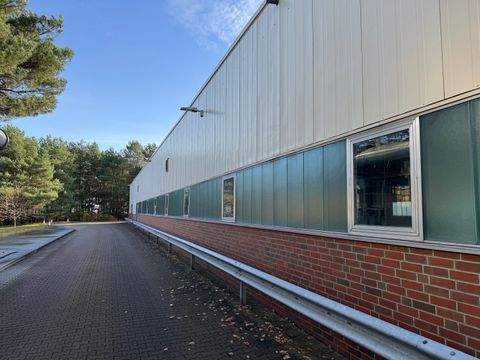 Lüneburg Halle, Lüneburg Hallenfläche