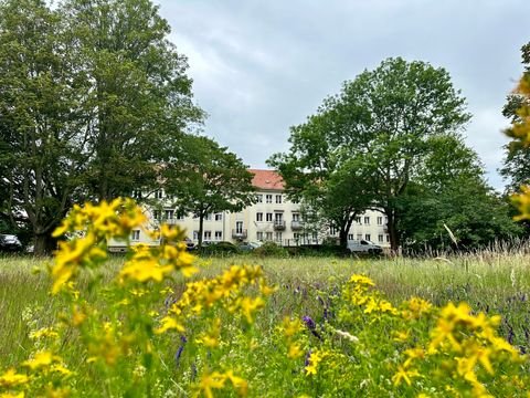 Pirna Wohnungen, Pirna Wohnung mieten