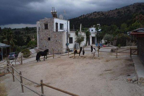 Kreta, Pemonia: Ruhiges und weitläufiges Anwesen zu verkaufen