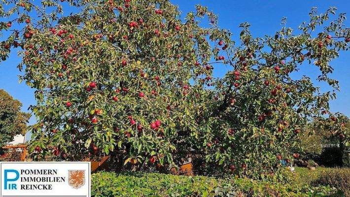 Der gehört dazu!.jpg