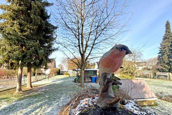 Hinterer Gartenbereich