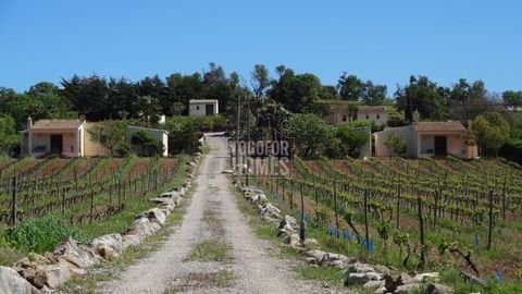 Praia da Luz Renditeobjekte, Mehrfamilienhäuser, Geschäftshäuser, Kapitalanlage