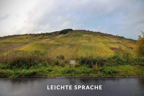 Waldrach Grundstücke, Waldrach Grundstück kaufen